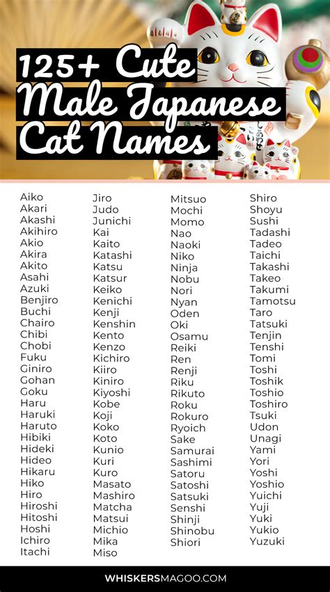 common cat names in japan|cute japanese usernames for cats.